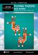 CLOSEOUT - Flying Tiger quilt sewing pattern from Art East Quilting Co.