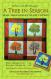 A Tree In Season quilt sewing pattern Rebecca Ruth Designs